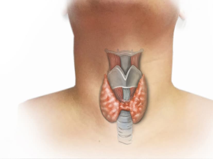 Thyroid: থাইরয়েড থাকলে ১০০ হাত দূরে থাকুন রোজের চেনা ‘এই’ খাবার, ফল, সবজি থেকে! নচেৎ শরীর ভেঙে দেবে কয়েক মাসেই