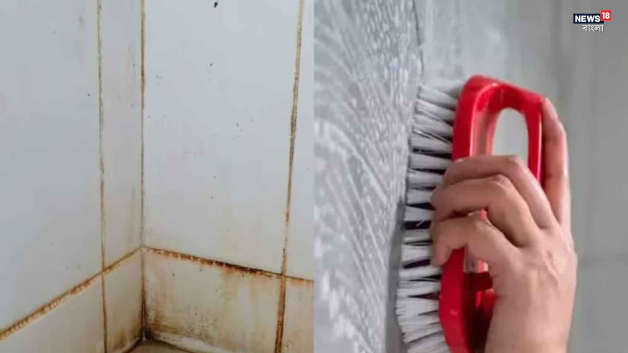 Tiles Cleaning Tips: ২ মিনিটেই ঝকঝকে-তকতকে টাইলস! ঘরোয়া ছোট্ট জিনিসেই উধাও জেদি দাগ, চমকে দেবে ফলাফল