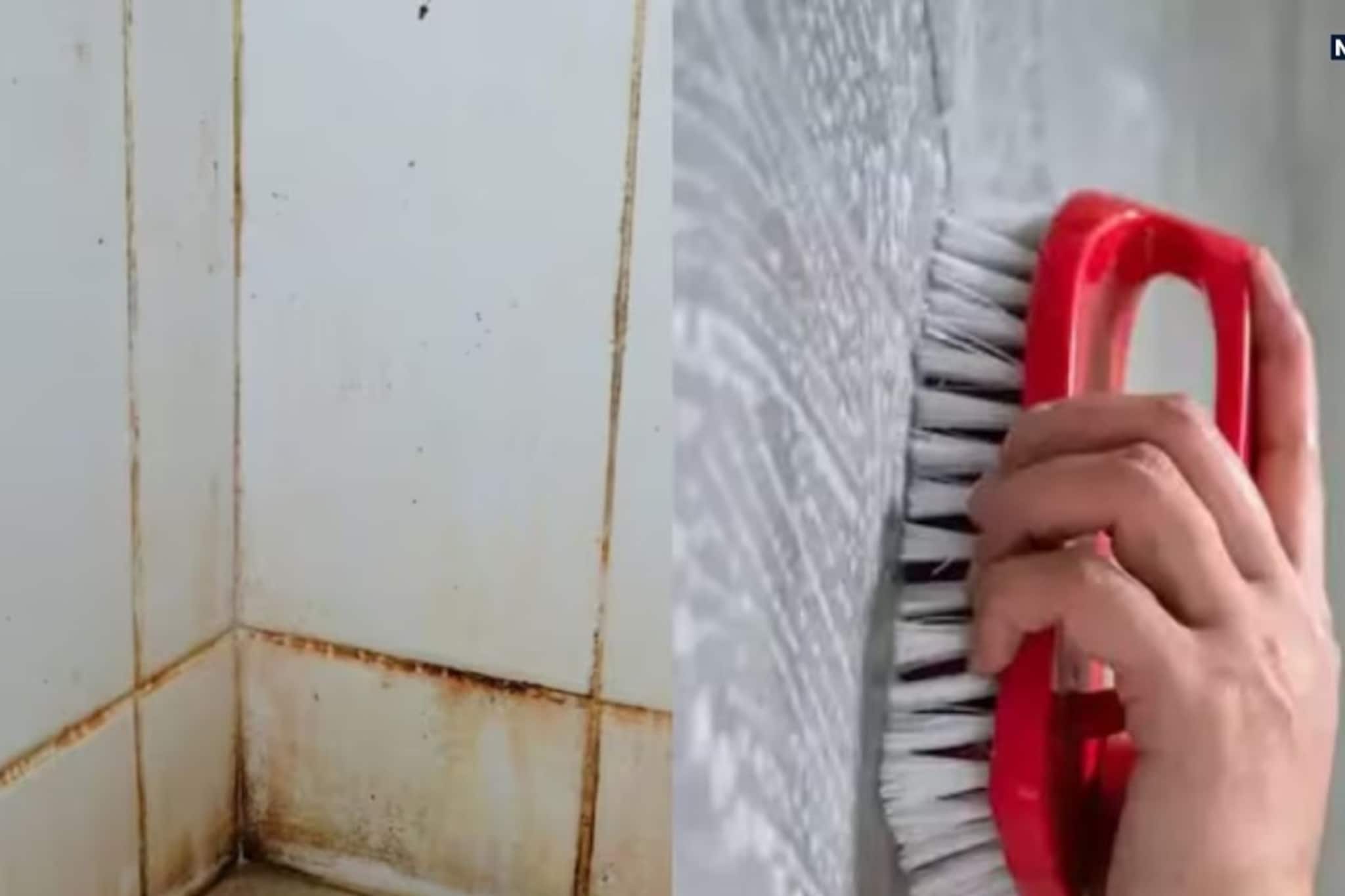 ২ মিনিটেই ঝকঝকে-তকতকে টাইলস! ঘরোয়া ছোট্ট জিনিসেই উধাও জেদি দাগ, চমকে দেবে ফলাফল ২ মিনিটেই ঝকঝকে-তকতকে টাইলস! ঘরোয়া ছোট্ট জিনিসেই উধাও জেদি দাগ, চমকে দেবে ফলাফল