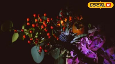 বাড়িতে বাগান করতে সকলেই পছন্দ করেন। তবে আজকাল ফ্ল্যাট কিংবা বাড়িতে জায়গার অভাবে প্রাণ ভরে বাগান করাও যায় না। তবে ফ্ল্যাট বা বাড়ির একফালি বারান্দা হোক কিংবা ছাদ হোক, তাতেই এক টুকরো বাগান অনেকেই করছেন। কেউ কেউ আবার ঘরের ভিতরের সাজসজ্জায় সবুজের ছোঁয়া রাখতে পছন্দ করেন। তবে গরমের দিনে হাঁসফাঁস করা গরম থেকে মুক্তি পেতে বাগান বা ছোট বারান্দায় অনায়াসে বসানো যেতে পারে সুগন্ধি ফুলের গাছ। এতে ঘরের পরিবেশ তো সতেজ থাকবেই। এর পাশাপাশি সন্ধ্যা নামলেই ফুল ফুটে চারপাশে ছড়িয়ে যাবে সুমিষ্ট গন্ধ। ফলে ঘরের গুমোট ভাব কাটাতে আর প্রয়োজন হবে না দামি রুম ফ্রেশনার বা স্প্রে-র। 