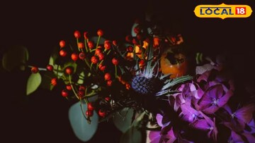 প্রয়োজন নেই দামি রুম ফ্রেশনারের, বারান্দায় এই সব সুগন্ধি ফুলের গাছ বসিয়ে নিলেই ঘর জুড়ে ছড়িয়ে পড়বে স্বর্গীয় অনুভূতি !