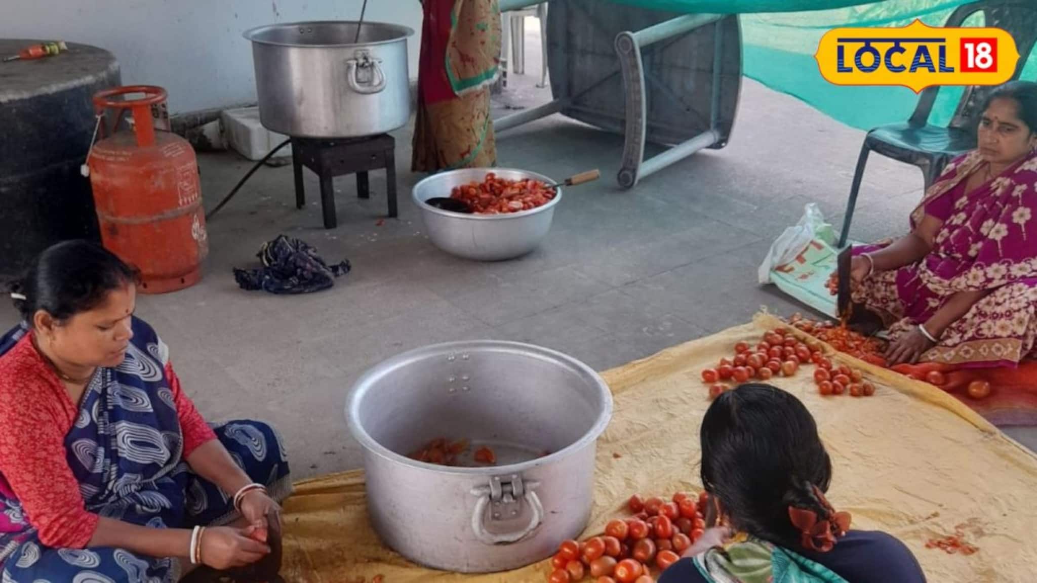 Tomato Ketchup Business: বাজারে জলের দর, তবুও টমেটোই এখন 'লাল সোনা'! সিএডিসি-র মন্ত্রে কপাল ফিরল চাষিদের, লাভের মুখ দেখছেন মহিলারাও
