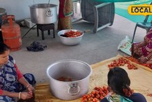 Tomato Ketchup Business: বাজারে জলের দর, তবুও টমেটোই এখন 'লাল সোনা'! সিএডিসি-র মন্ত্রে কপাল ফিরল চাষিদের, লাভের মুখ দেখছেন মহিলারাও