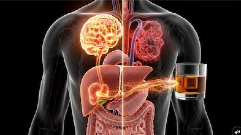 গবেষণা বলছে, পৃথিবীতে যত অপরাধমূলক কাজ হয়, তার সিংহভাগের নেপথ্যে রয়েছে নেশা। আর এই নেশার লোভেই মানুষ মদ্যপান করেন। শরীরে মদ শোষিত হওয়ার পর রক্তের মধ্যে দিয়ে প্রবাহিত হয়ে মদ পৌঁছায় মস্তিষ্কে। তখন-ই যত ‘মাথা ঝিমঝিম’ বা নেশার সৃষ্টি গবেষণা বলছে, পৃথিবীতে যত অপরাধমূলক কাজ হয়, তার সিংহভাগের নেপথ্যে রয়েছে নেশা। আর এই নেশার লোভেই মানুষ মদ্যপান করেন। শরীরে মদ শোষিত হওয়ার পর রক্তের মধ্যে দিয়ে প্রবাহিত হয়ে মদ পৌঁছায় মস্তিষ্কে। তখন-ই যত ‘মাথা ঝিমঝিম’ বা নেশার সৃষ্টি