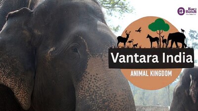 বনতারায় প্রাণী আমদানি নিয়ে তদন্তের আর্জি খারিজ সুপ্রিম কোর্টের, SIT রিপোর্টে কী জানা গেল?  