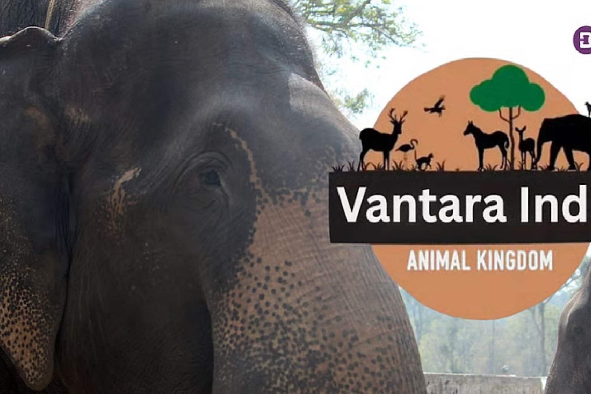 রিলায়েন্স গোষ্ঠী পরিচালিত বনতারা কেন্দ্রে বনজ প্রাণী আমদানি নিয়ে ওঠা বিতর্কে গুরুত্বপূর্ণ রায় দিল সুপ্রিম কোর্ট। এই বিষয়ে তদন্তের দাবিতে দায়ের হওয়া এক