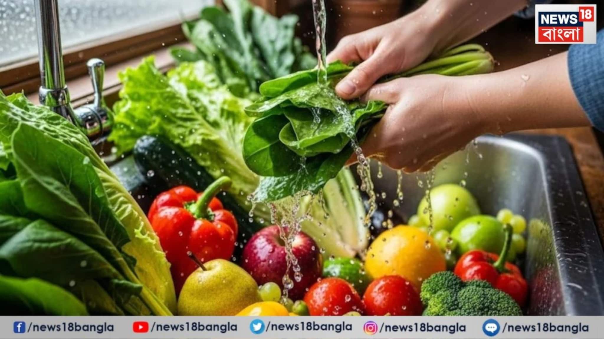 Vegetables Cleaning Tips: তীব্র ডায়রিয়া, ১৪দিনে ৪ কেজি ওজন কমল হৃতিকের প্রেমিকার, সবজি-ফল ভাল করে না ধুয়ে খেলে এই বিপদে আপনিও পড়বেন! রইল টিপস