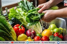 Vegetables Cleaning Tips: তীব্র ডায়রিয়া, ১৪দিনে ৪ কেজি ওজন কমল হৃতিকের প্রেমিকার, সবজি-ফল ভাল করে না ধুয়ে খেলে এই বিপদে আপনিও পড়বেন! রইল টিপস
