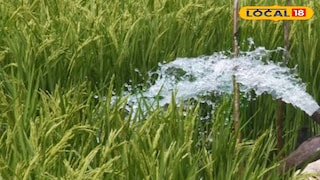 উঠে গেল জলকর