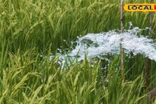 South 24 Parganas News: বাংলার চাষিদের জন্য বিরাট সুখবর! আর দিতে হবে না জলকর, কৃষকদের জন্য রাজ্য সরকারের বিভিন্ন প্রকল্পের সুবিধা দোরগোড়ায়