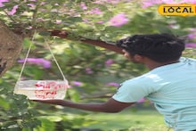 Howrah News: গ্রীষ্মে গাছে গাছে জলের পাত্র! পরিবেশ রক্ষার বার্তা দিয়ে পাখিদের তৃষ্ণা নিবারণ, হাওড়ায় যুবক দলের প্রশংসনীয় প্রয়াস