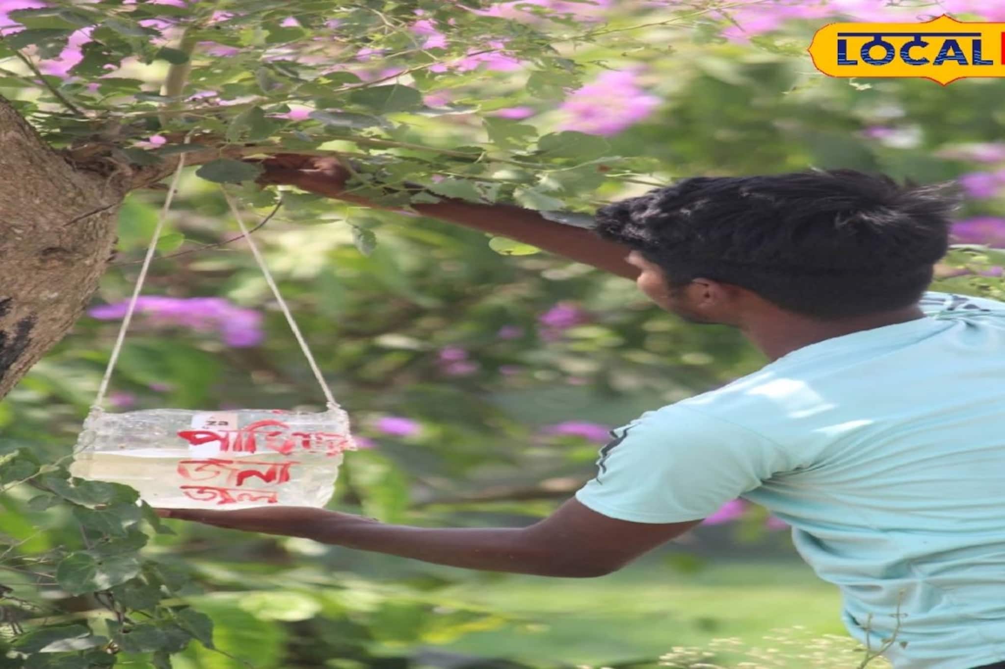 গ্রীষ্মে গাছে গাছে জলের পাত্র! পরিবেশ রক্ষার বার্তা দিয়ে পাখিদের তৃষ্ণা নিবারণ