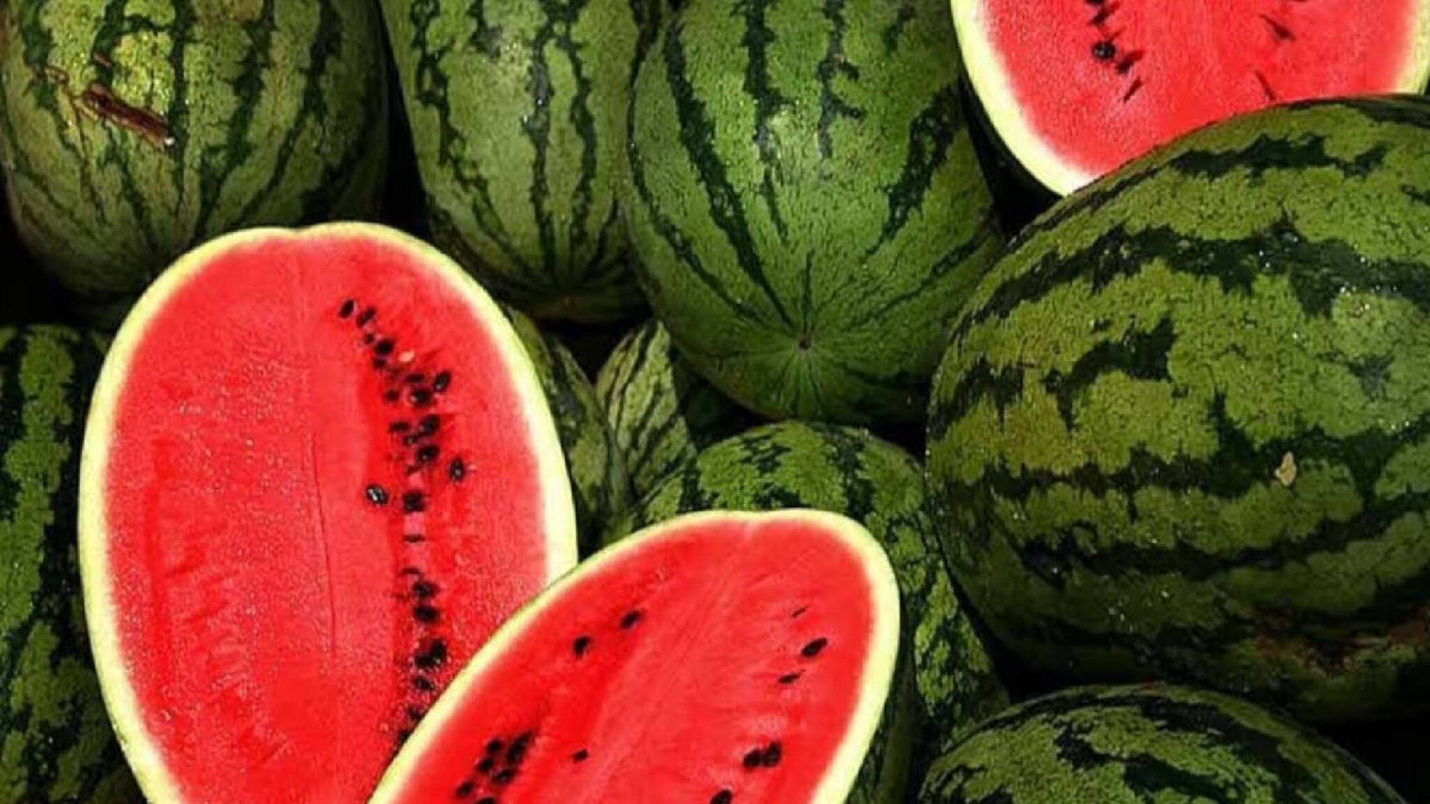Watermelon Cutting Tips: চিন্তার দিন শেষ, তরমুজের সব বীজ বেরিয়ে আসবে ২ মিনিটে, শুধু 'এই' কৌশল মানলেই কেল্লাফতে