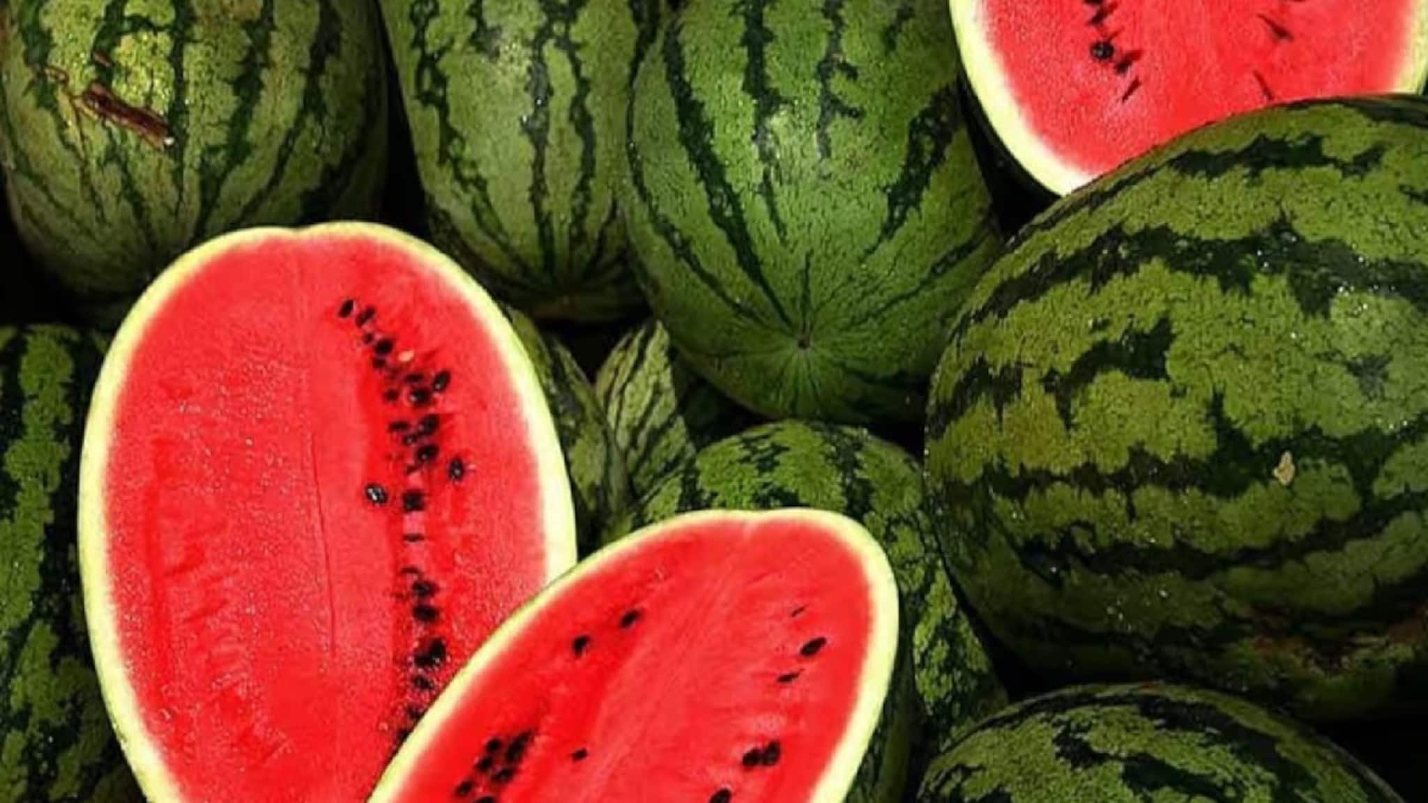 Watermelon Buying Trick: না কেটেই কীভাবে কিনবেন লাল টুকটুকে মিষ্টি তরমুজ! ২ আঙুলে 'এভাবে' পরীক্ষা করুন, ১০০% নিশ্চিত মিষ্টি হবে ফল