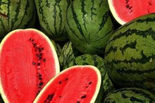 Watermelon Buying Trick: না কেটেই কীভাবে কিনবেন লাল টুকটুকে মিষ্টি তরমুজ! ২ আঙুলে 'এভাবে' পরীক্ষা করুন, ১০০% নিশ্চিত মিষ্টি হবে ফল