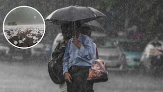 হাতে বেশি সময় নেই! ধেয়ে আসছে ঝড়বৃষ্টি, শিলাবৃষ্টি, দক্ষিণের ১ জেলায় প্রবল দুর্যোগের পূর্বাভাস