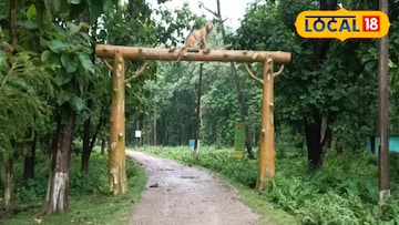 আলিপুর চিড়িয়াখানা তো অনেকেই গিয়েছেন! এবার ঘুরে আসুন রসিকবিল মিনি জু আলিপুর চিড়িয়াখানা তো অনেকেই গিয়েছেন! এবার ঘুরে আসুন রসিকবিল মিনি জু