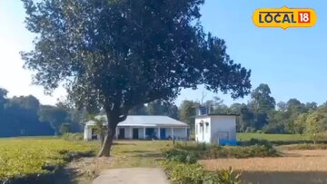 জঙ্গলঘেরা