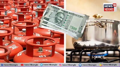 কীভাবে রান্নার গ্যাস সাশ্রয় করবেন?