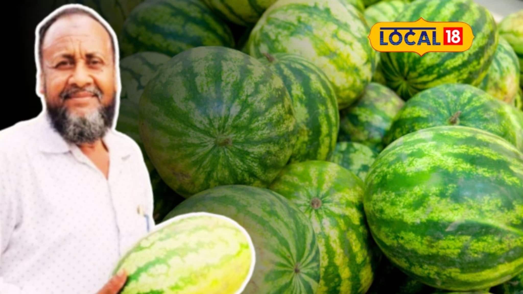 Big Size Watermelon: একটার ওজনই ৮ থেকে ১০ কেজি! এক হাতে ধরতেই পারবেন না, ওড়িশার রসালো তরমুজ আসছে বাংলায়