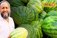 Big Size Watermelon: একটার ওজনই ৮ থেকে ১০ কেজি! এক হাতে ধরতেই পারবেন না, ওড়িশার রসালো তরমুজ আসছে বাংলায়
