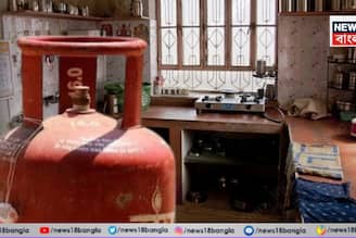 LPG বাঁচাতে চান? রান্নাঘরের এই ১০টি সহজ কৌশলেই কমবে গ্যাসের ব্যবহার