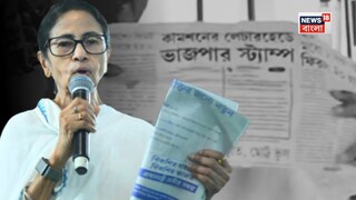 কী বললেন মমতা