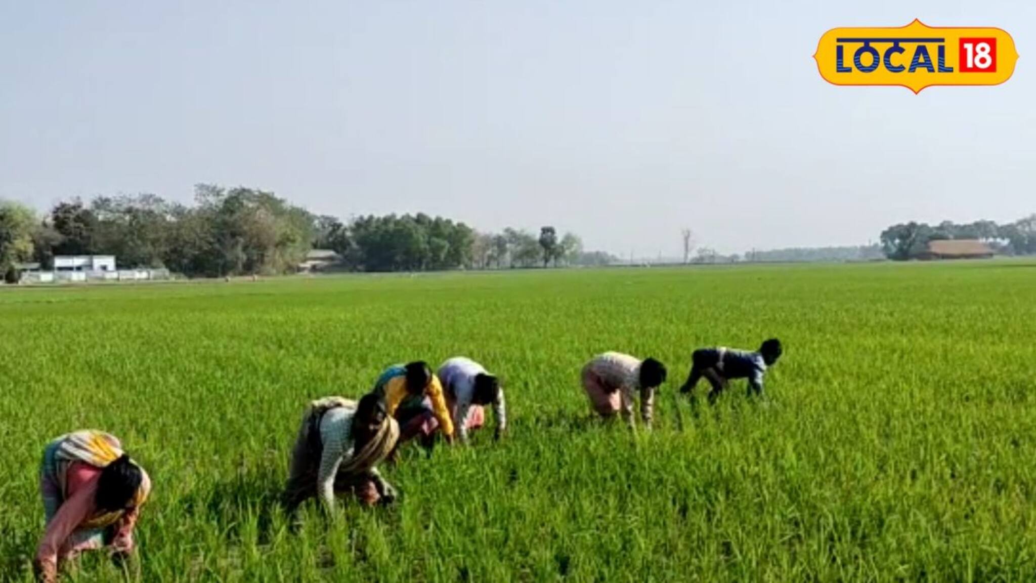 South 24 Parganas News: গোকুলনগরের চাষিদের কাছে 'শাপে বর' ওয়াশ আউট ভালভ! চাষবাসে এল দারুণ সুবিধা, কীভাবে উপকৃত হচ্ছে জানলে অবাক হবেন