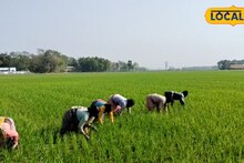 Agriculture News: ৩ মিনিটেই খেল খতম! তেড়ে তেড়ে মরবে পোকামাকড়, আধুনিক যন্ত্রের 'ম্যাজিক' দেখে হাসি ফুটল চাষিদের মুখে