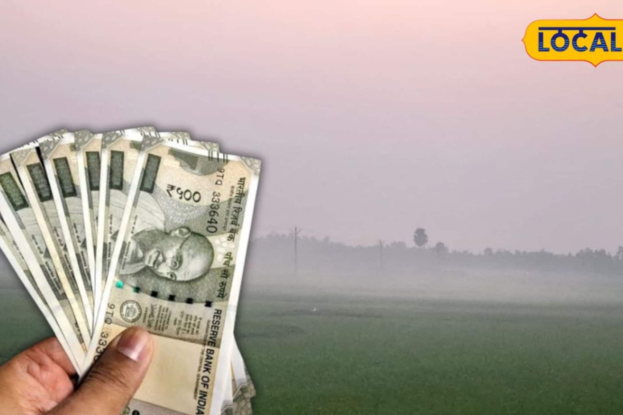 ধান কাটার পর খালি জমিই দেবে অঢেল আয়! করুন এই 'লাভজনক' চাষ, অল্প দিনেই উপচে পড়বে ব্যাঙ্ক ব্যালেন্স