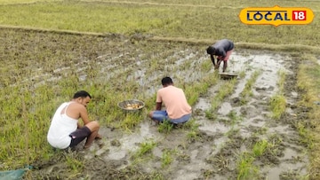 আবহাওয়ার