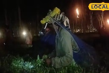 Moonlight Tea Plucking: বছরের হাতেগোনা কয়েকটা দিন সংগ্রহ করা হয় পাতা, চাঁদের আলো ছাড়া এই চায়ের ফ্লেভার অসম্পূর্ণ! ‘মুনলাইট টি’র গোপন রহস্য ফাঁস