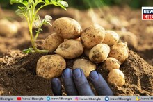 West Medinipur: আলু চাষে ক্ষতি, বিষ খেয়ে আত্মহত্যা করলেন কৃষক... শুরু তদন্ত! শুরু তীব্র রাজনৈতিক তরজা