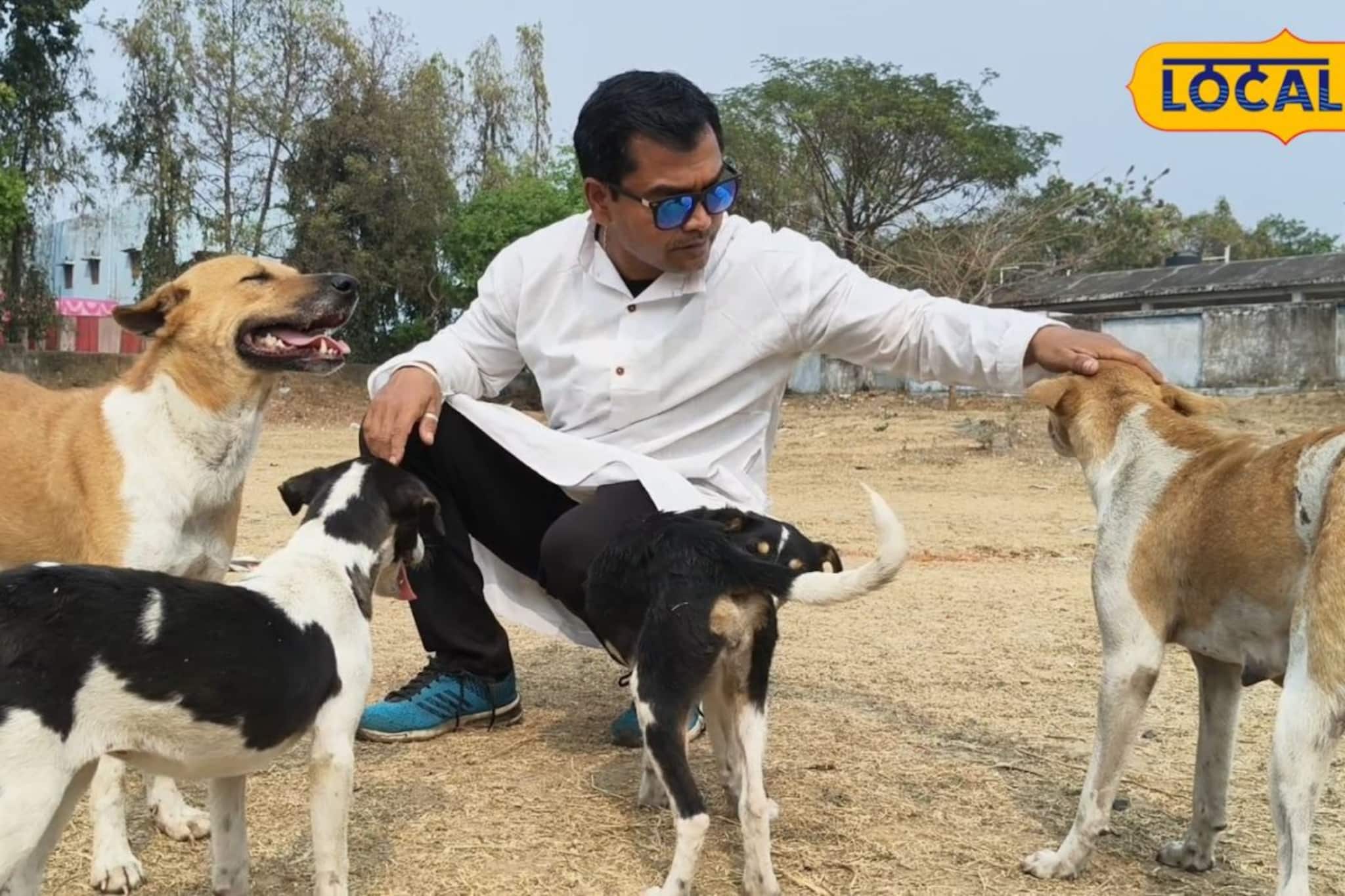 করোনার সময় শুরু, আজও চলছে! রঘুনাথপুরে 'পথ কুকুরদের দেবদূত' শান্তনু, জানলে গর্বে বুক ভরবে