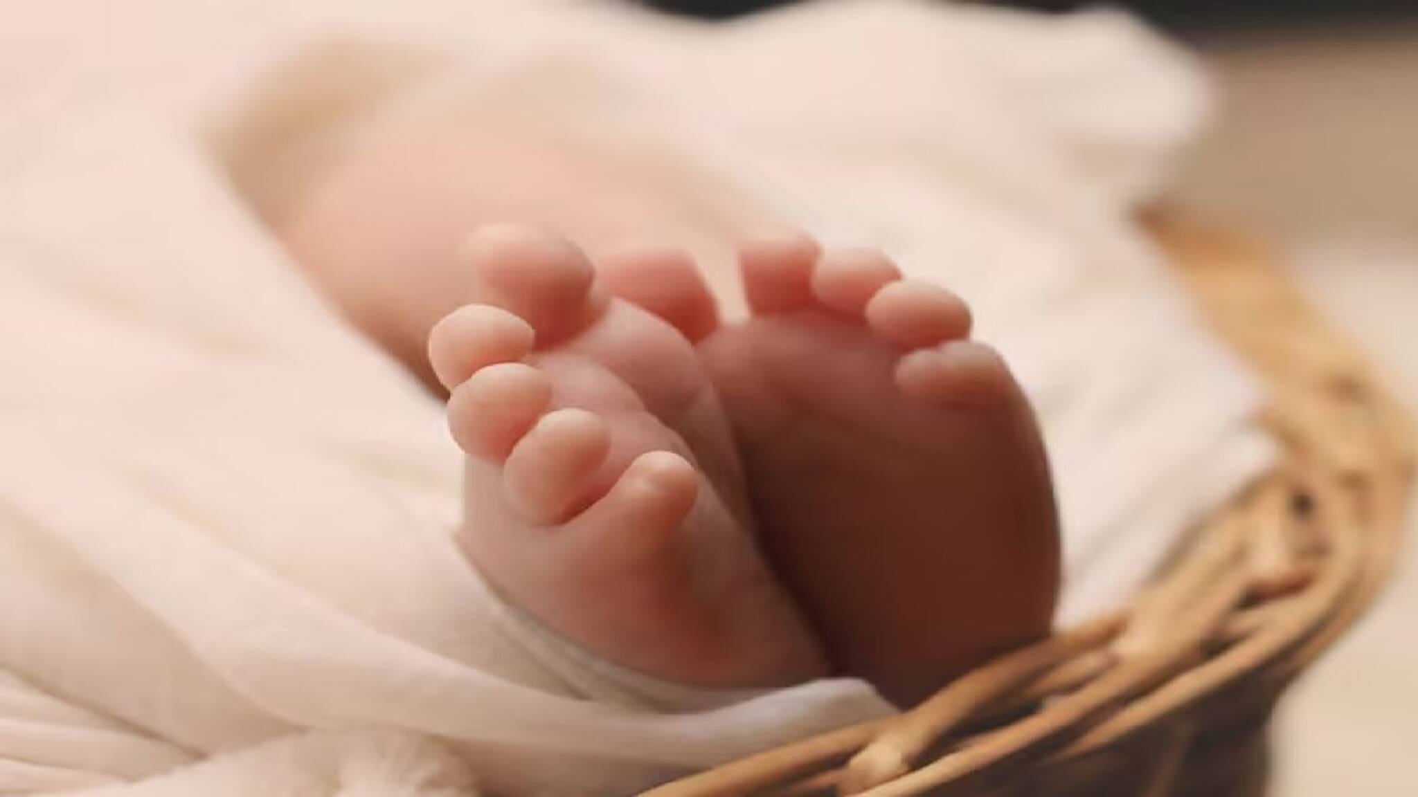 যাত্রী ট্রেনের শৌচালয়ে যেতেই দেখলেন সেই দৃশ্য! সদ্যোজাত শিশুকন্যা পড়ে ভিতরে, মা কোথায়?