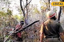 Bankura News: শুশুনিয়া পাহাড়ে দাউদাউ আগুন, প্রচুর খরগোশ, সাপের প্রাণহানির আশঙ্কা! পর্যটকদের চোখের সামনেই পুড়ল বনভূমি