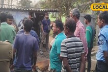 Bull Attack: হঠাৎ রণংদেহী মেজাজে স্নেহের ষাঁড়! অতর্কিত গুঁতোয় ৫, মৃত্যুর সঙ্গে পাঞ্জা লড়ছেন তরুণী