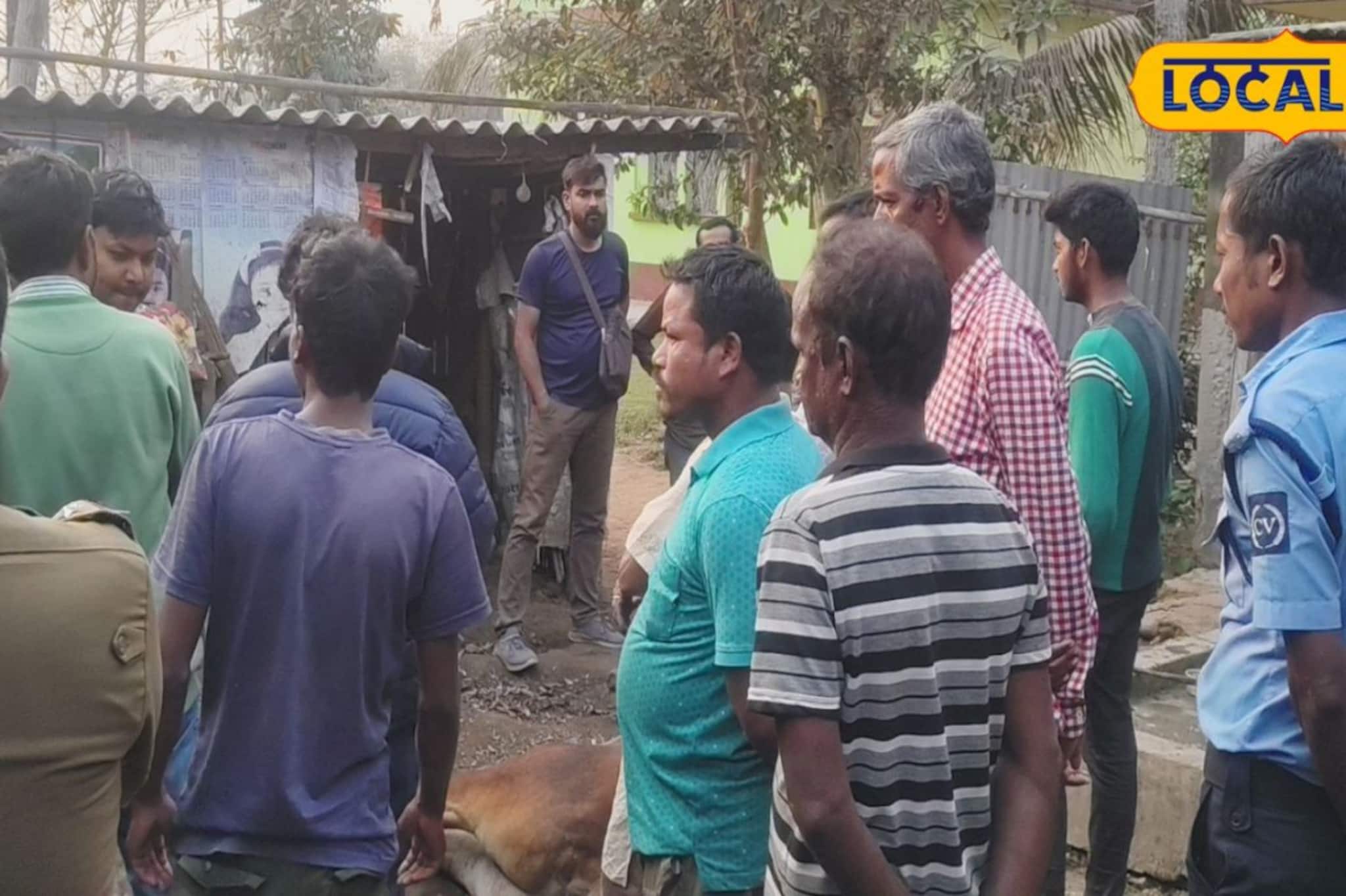 হঠাৎ রণংদেহী মেজাজে স্নেহের ষাঁড়! অতর্কিত গুঁতোয় ৫, মৃত্যুর সঙ্গে পাঞ্জা লড়ছেন তরুণী