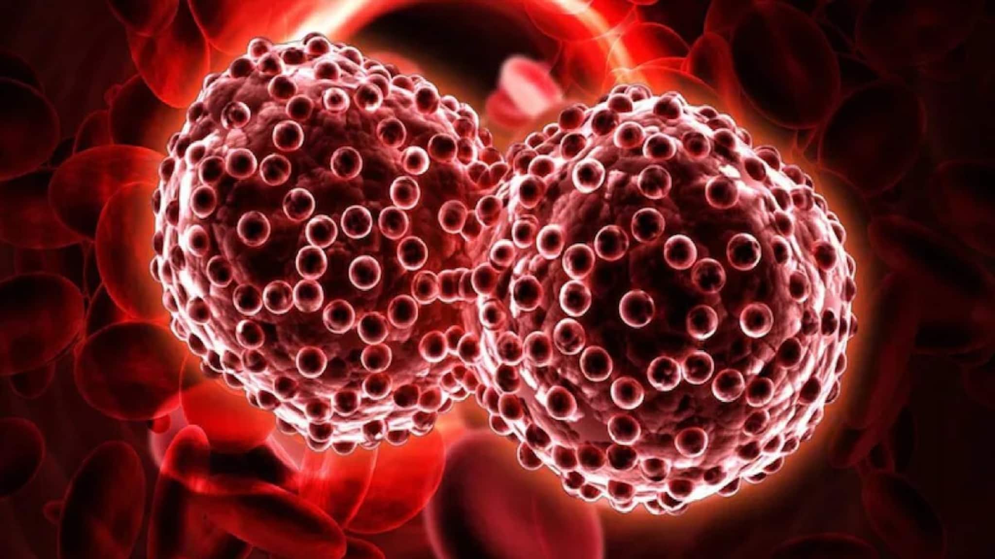 Cancer: যত মারাত্মক ক্যানসারই হোক, জীবন থাকবে সুরক্ষিত! রোজের ছোট্ট 'এই' কাজেই বাজিমাত