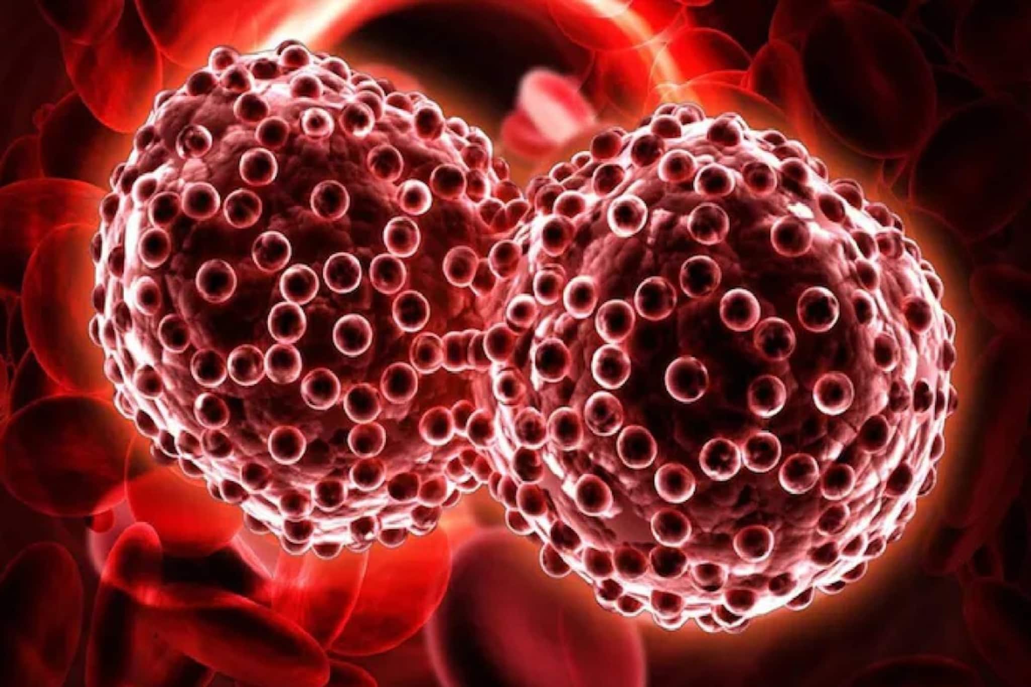 যত মারাত্মক ক্যানসারই হোক, জীবন থাকবে সুরক্ষিত! রোজের ছোট্ট 'এই' কাজেই বাজিমাত