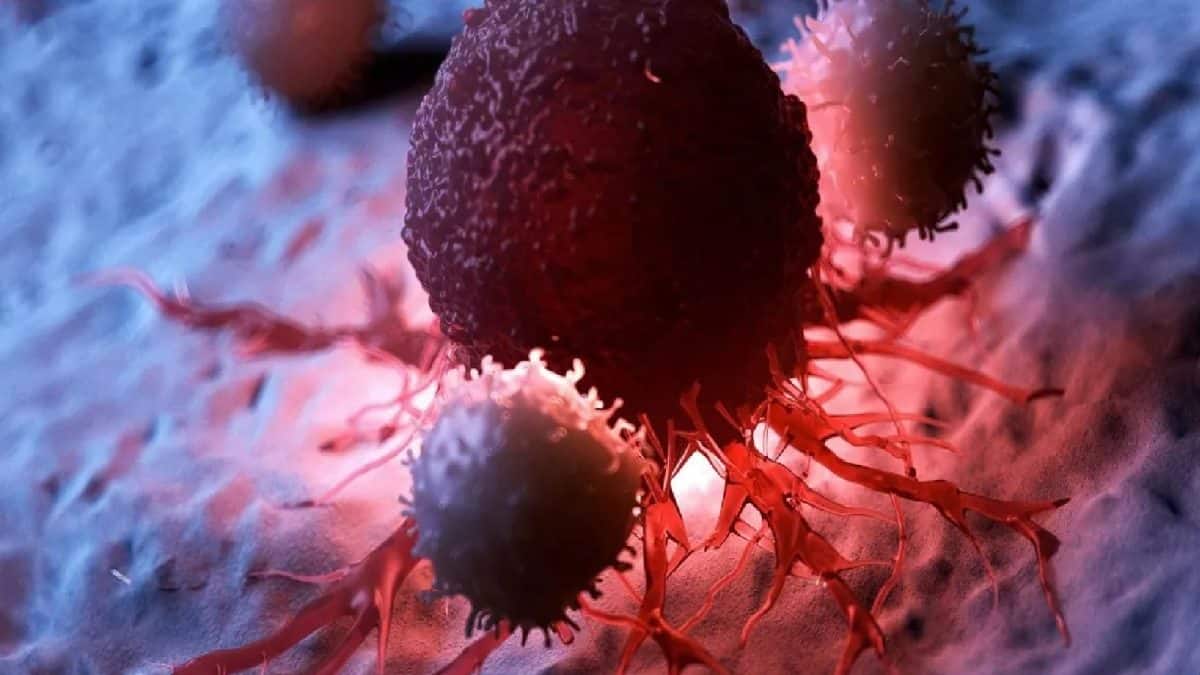 Cancer Patients: এই ৩টি ফল ক্যানসারের ঝুঁকি কমাতে সহায়ক! নিয়মিত খেলেই মিলতে পারে অবাক করা ফলাফল