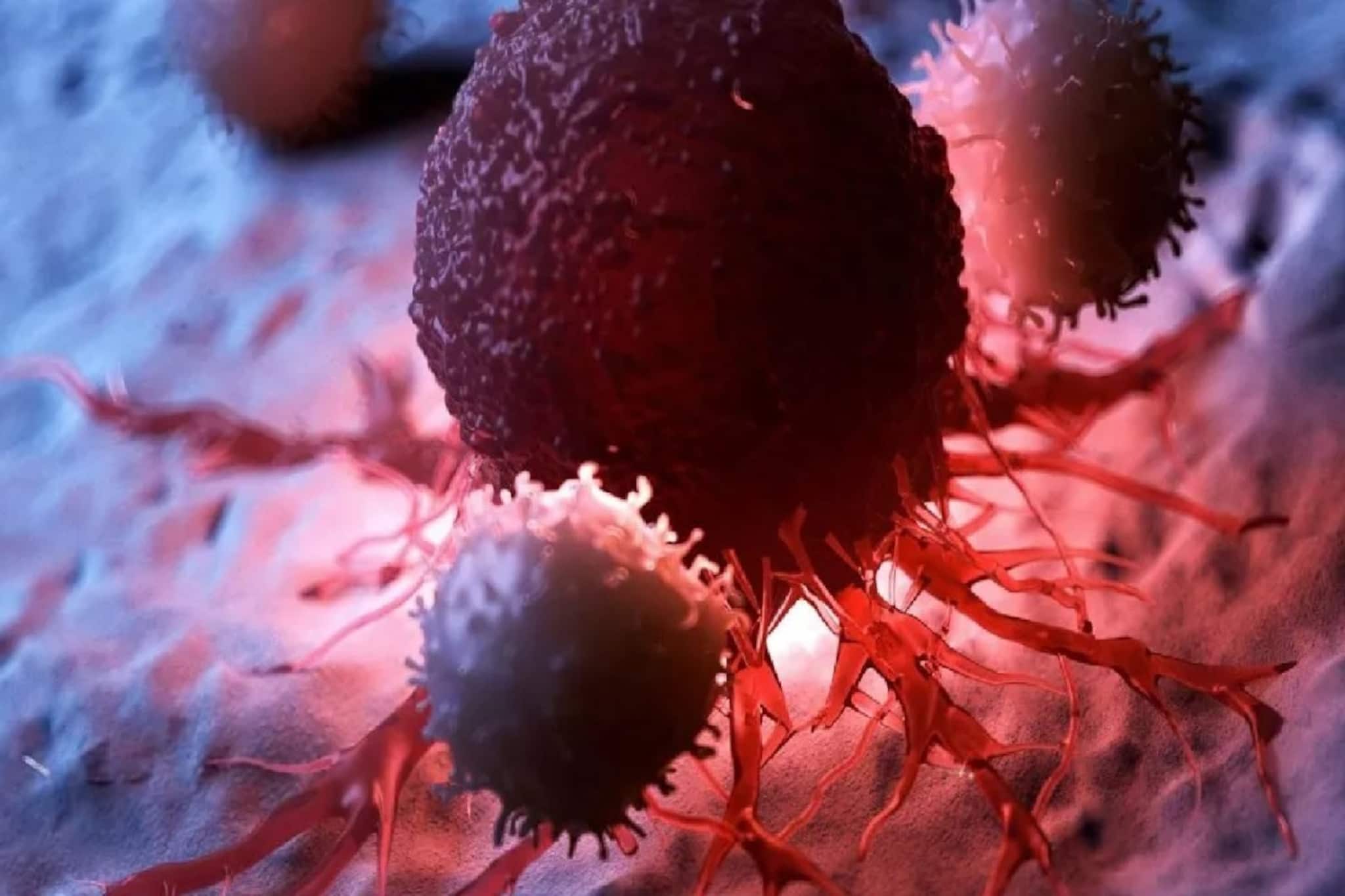 এই ৩টি ফল ক্যানসারের ঝুঁকি কমাতে সহায়ক! নিয়মিত খেলেই মিলতে পারে অবাক করা ফলাফল এই ৩টি ফল ক্যানসারের ঝুঁকি কমাতে সহায়ক! নিয়মিত খেলেই মিলতে পারে অবাক করা ফলাফল