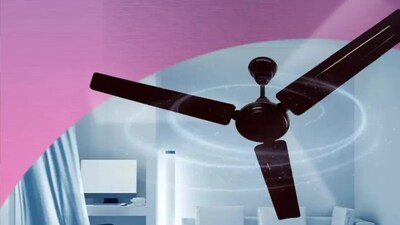 সিলিং ফ্যান
