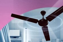 Ceiling Fan Electric Bill: গরম পড়তেই দিনভর বনবন করে ঘুরছে সিলিং ফ্যান, দিনে ১০ ঘণ্টা চালালে কত বিদ্যুৎ পোড়ে? মাসে কত বিল আসবে? রইল হিসাব