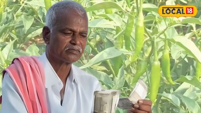 এগরার লঙ্কা ক্ষেত 