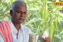Chilli Farming Profit: সারা বছর চাহিদা, দামও দারুণ! ধান-বাদাম ছেড়ে লঙ্কা চাষে বাজিমাত পূর্ব মেদিনীপুরের চাষিদের, লাভের অঙ্ক শুনলে আপনিও চমকে যাবেন