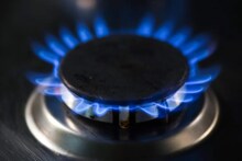 Gas Cylinder Booking: গ্যাস সিলিন্ডার বিক্রি নিয়ে পেট্রোলিয়াম মন্ত্রকের বড় নির্দেশিকা, বুকিং নিয়ন্ত্রণ করবে রাজ্য সরকার