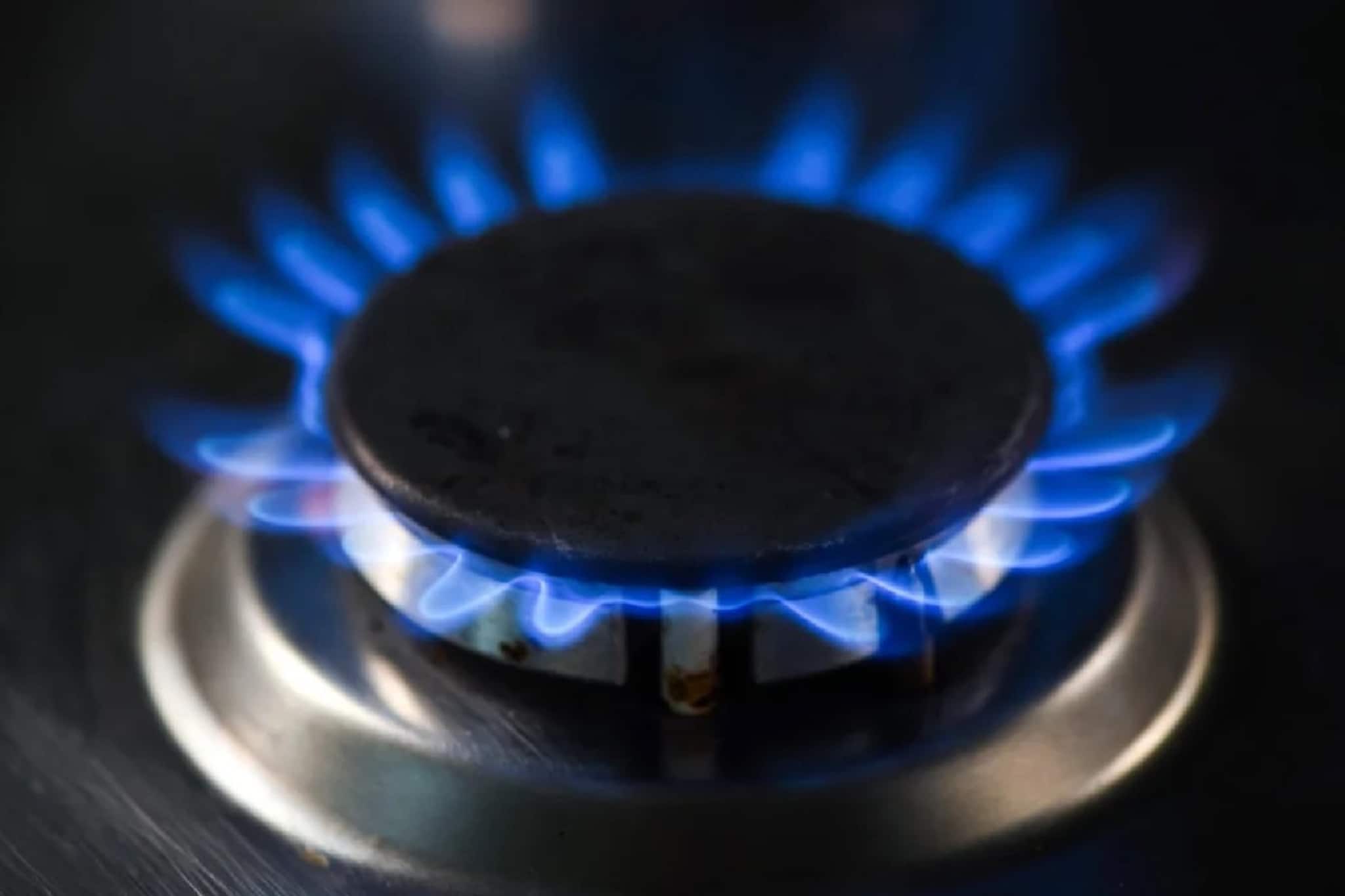 Gas Cylinder Booking: গ্যাস সিলিন্ডার বিক্রি নিয়ে পেট্রোলিয়াম মন্ত্রকের বড় নির্দেশিকা, বুকিং নিয়ন্ত্রণ করবে রাজ্য সরকার