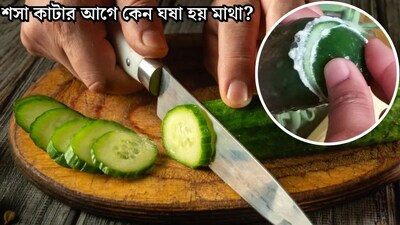 শসা কাটার আগে কেন ঘষে নেওয়া হয় মাথা? এতে কি সত্যিই কেটে যায় তেতোভাব? সবাই করেন, তবু ৯৯% লোকজন জানেন না আসল কারণ