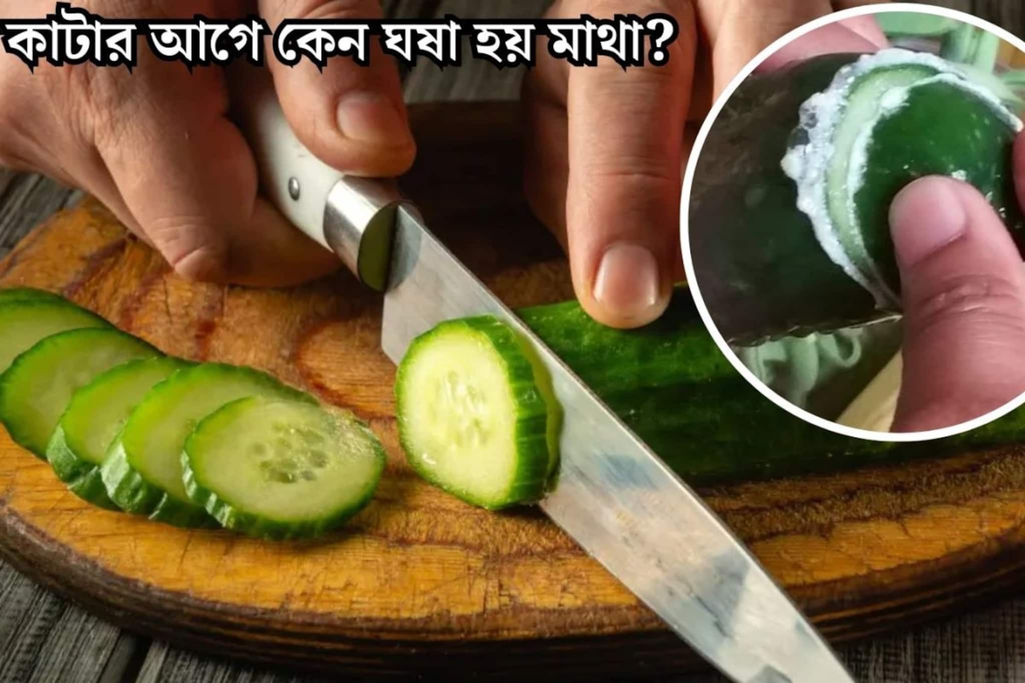 শসা কাটার আগে কেন ঘষে নেওয়া হয় মাথা? এতে কি সত্যিই কেটে যায় তেতোভাব?